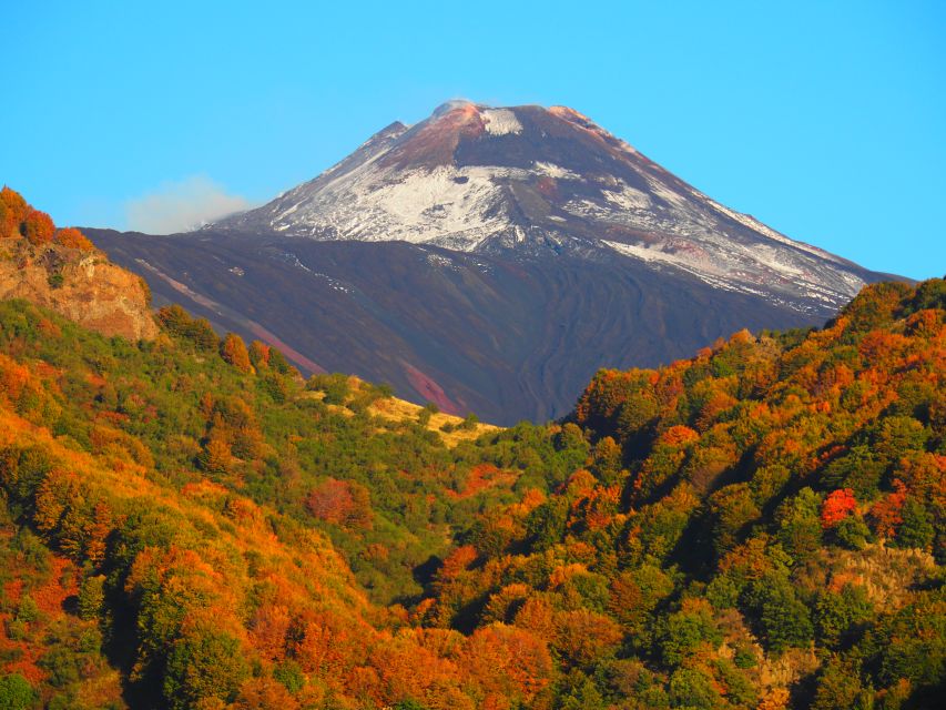 Sicily: Mount Etna's North Slope Craters Guided Hike Tour - Beech Forest Ascent and the Views You Earn