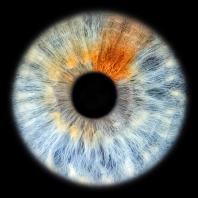 Siracusa Iris Photography Experience - Why an Iris Photo in Ortigia Feels Like Real Art