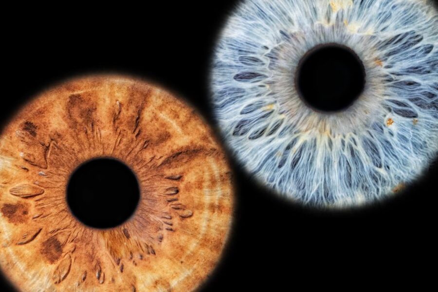Siracusa Iris Photography Experience - FAQ