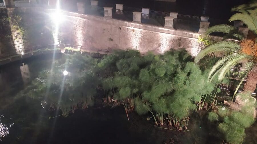 Siracusa Tour: Ortigia by Night in English - Ortigia by night: why the mood changes everything