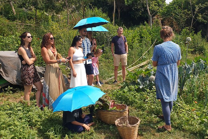 Slowlife Family Farm- Cook with us From Garden to Table Syracuse - Eating by the river under ancient trees (weather permitting)