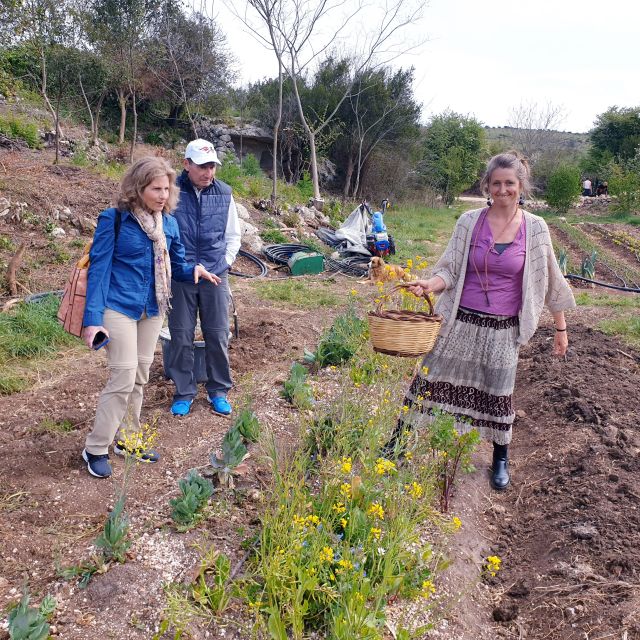 Slowlife Family Farm: From Garden to Table - Who should book this Slowlife farm experience?