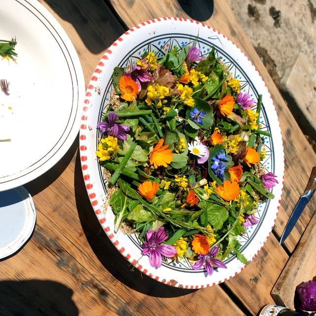 Slowlife Family Farm: From Garden to Table - Milling wheat to pasta: A cooking class that starts with the source