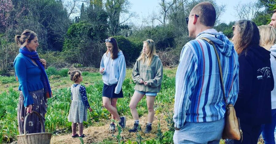 Slowlife Family Farm: From Garden to Table - Olive oil and wine tasting: How to taste without overthinking it