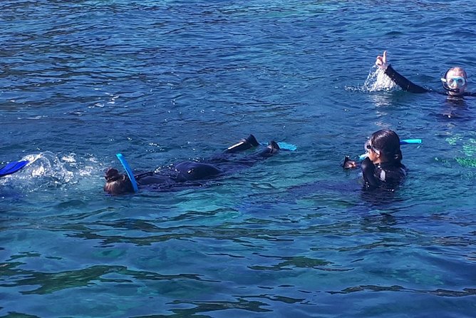 Snorkeling - Your Snorkel Window: 50 Minutes Without a Guide in the Water