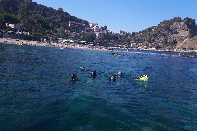 Snorkeling - Price and Value: What You’re Paying For