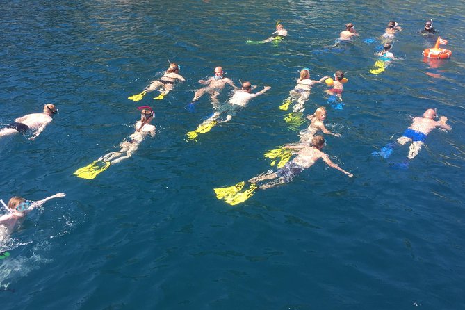 Snorkeling Tour Coast to Coast Taormina and Isola Bella - Price and value: $50.81 for gear, coaching, and multiple views
