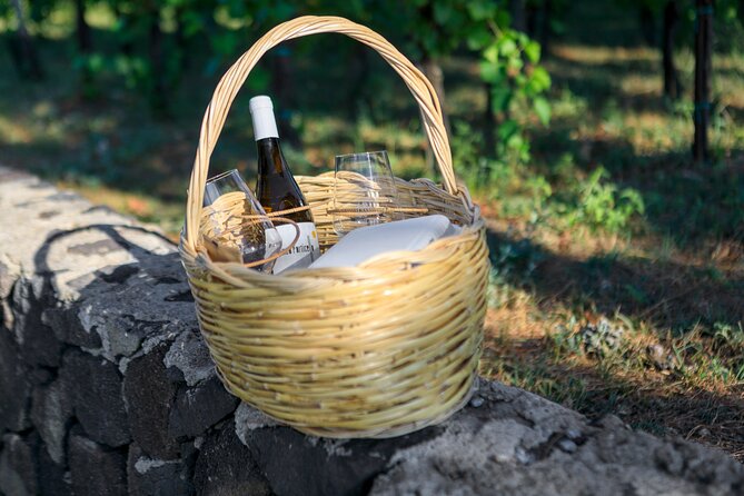 Sunset picnic in the vineyard - Sunset at Tenuta di Castellaro: sea views that set the tone