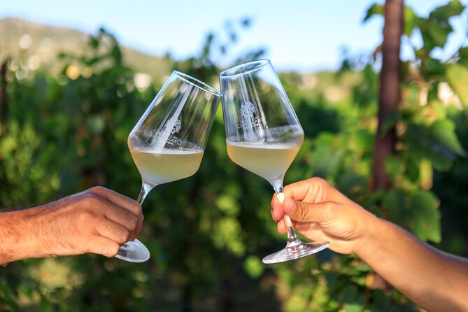 Sunset picnic in the vineyard - Your picnic basket: wine choices plus Castellaro Bistrot specialties