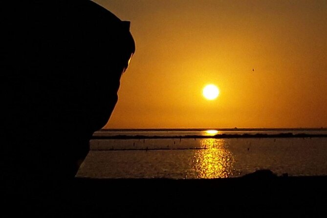 Sunset Saltpans Tour - Riserva Naturale Saline di Trapani e Paceco: Your Sunset Photo Hour