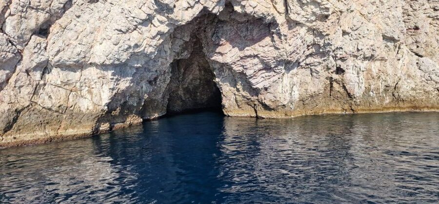 Sunset Tour and Searching Dolphins - La Sirena Check-In and Boarding: Quick and Simple
