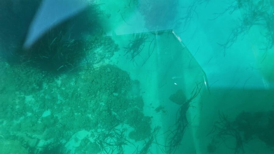 Syracuse: Coast and Sea Caves Full Transparent Boat Tour - Swim stop and underwater photos: the best hands-on moment