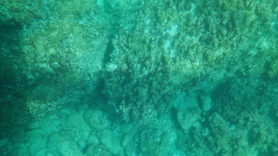 Syracuse: Coast and Sea Caves Full Transparent Boat Tour - Meeting Outside A Surgiva: quick start, clear rules