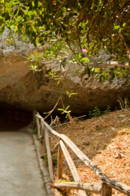 Syracuse: Greek Theater and Neapolis sunset tour - Roman Amphitheater and gladiator stories: from Greek myth to Roman show