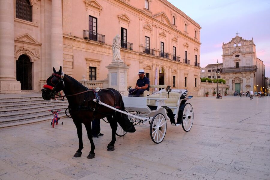 Syracuse: Highlights of Ortigia Guided Walking Tour - Should you book this Ortigia highlights walk?