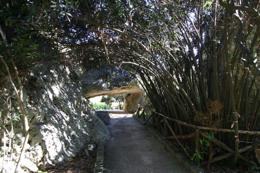 Syracuse: Neapolis Archaeological Park Small Group Tour - Grotta dei Cordari: A Quick Stop That Adds Texture
