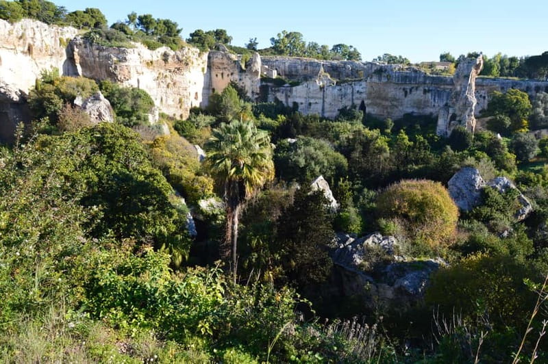 Syracuse: Ortigia and Neapolis Guided Walking Tour - Ortigia: ancient lanes, sea light, and a slower sense of place