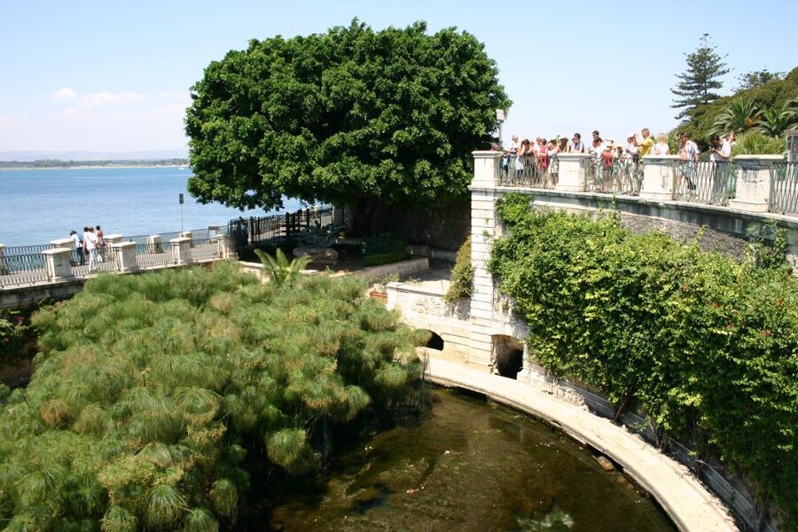 Syracuse: Ortigia Classic Walking Tour - Piazza Duomo and the cathedral square: from Greek temple to Christian landmark