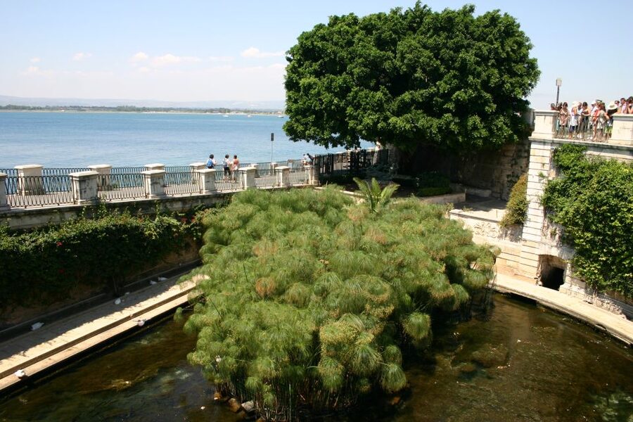 Syracuse: Ortigia Private Walking Tour - Viewpoint Moments, the Jewish Quarter, and Via Maestranza
