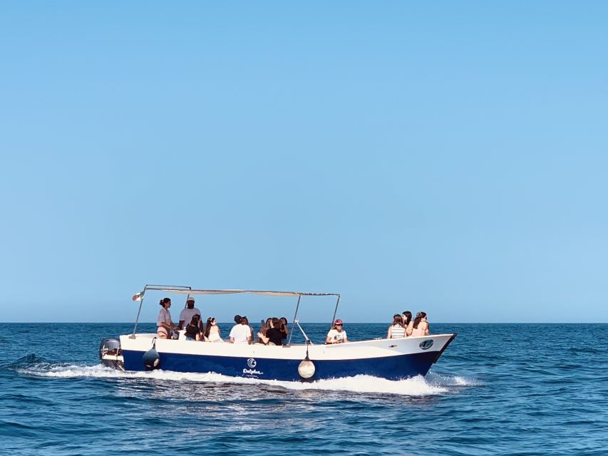 Syracuse: Pillirina, Ortigia, and Sea Caves Tour by Boat - Key Highlights You’ll Care About