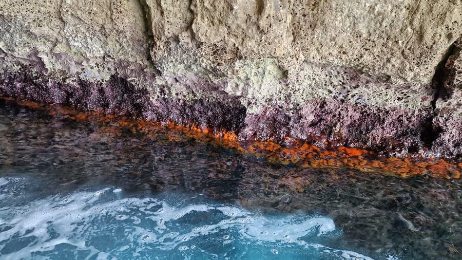 Syracuse:Snorkeling+Pillirina, Ortigia & sea caves boat tour - Hidden Sea Caves: When the Light and Rock Formations Do the Talking