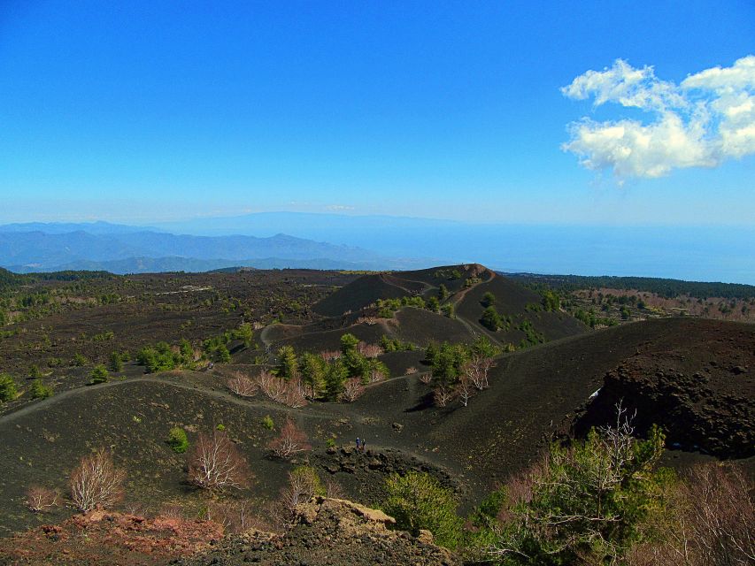 Taormina and Catania: Private Etna Exploration and Cave Tour - Etna Park: viewpoints, photos, and a geology-focused visit