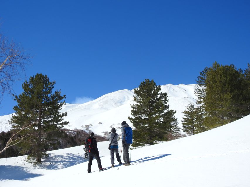 Taormina and Catania: Private Etna Exploration and Cave Tour - Off-road jeep driving: the fun part (and the why)