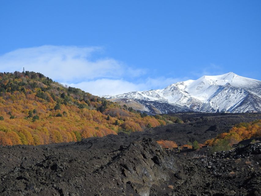 Taormina and Catania: Private guided Etna hike by cable car - Walking on ash toward Valle del Bove