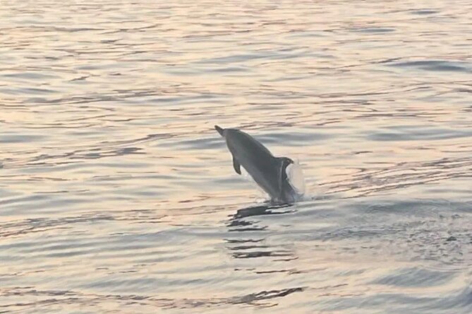 Taormina Dolfin 2-hour boat tour - What the 2.5 Hours Look Like on the Water