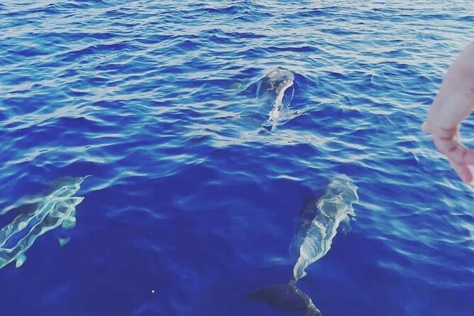 Taormina Dolfin 2-hour boat tour - The Bay Stop: Swim Time and an Aperitif With Prosecco