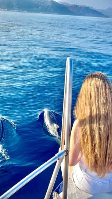 Taormina: Dolphin Tour and Sunset Aperitif Boat Tour - The Taormina–Naxos Bay route at golden hour