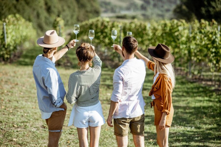 Taormina: Guided Etna Wine Tasting Half-Day Tour - At the Gambino Winery: Four Wines, Real Pairing, and Time to Ask Questions