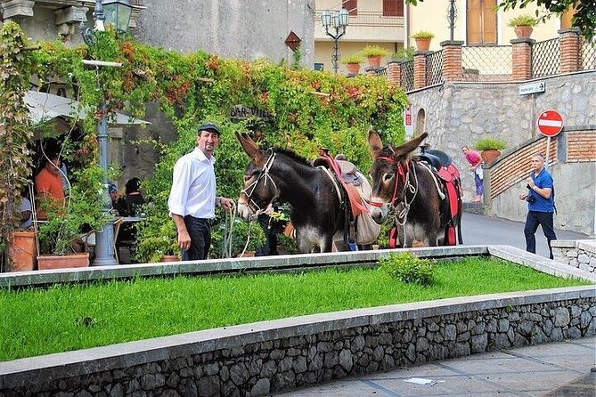 Taormina: Private/Guided Godfather with Granita at Bar Vitelli - Should you book this Taormina Godfather tour?