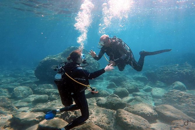 Taormina Scuba Diving Experience - Price and value: is $163.39 for 3 hours reasonable?