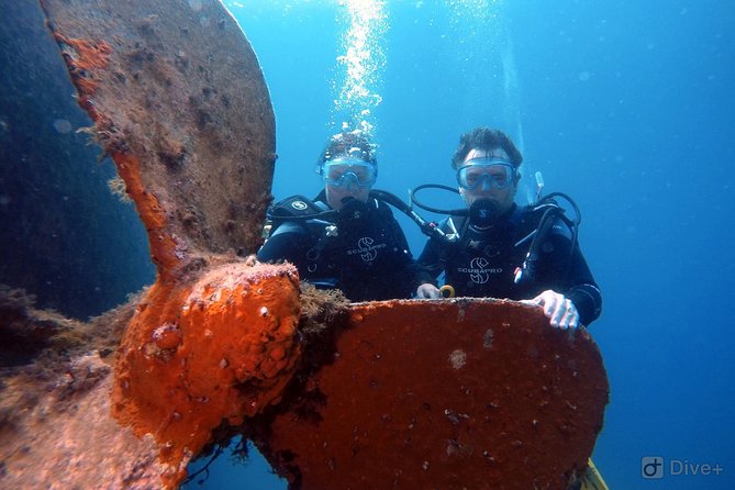 Taormina Scuba Diving Experience - Who should book this try-scuba session?