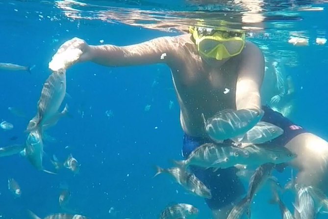 Taormina snorkeling experience - Equipment and ease: you show up, they handle the rest