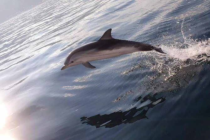 Taormina Sunset Aperitif on-Board - Baia delle Sirene: The Quiet Cove for Emerald-Water Snorkeling