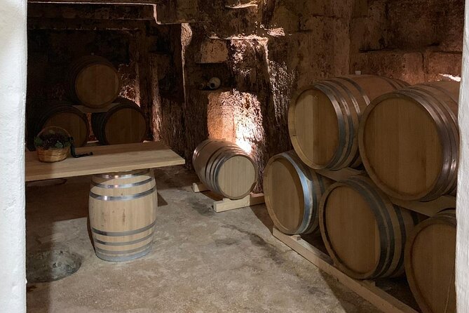 Tasting in the historic cellar of Marsala - Getting Your Questions Answered (After the Main Push)