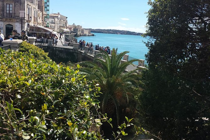 Taxi from and to Giardini Naxos, Taormina, Letojanni, Trappitello or vice-versa. - Service Quality: What the Best Reviews Keep Emphasizing