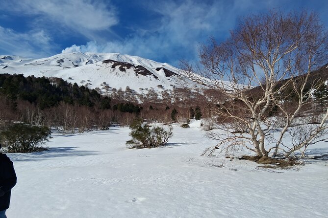 Tour Etna and Wine an experience between nature and aromas with taste. - A volcano day that actually feels structured