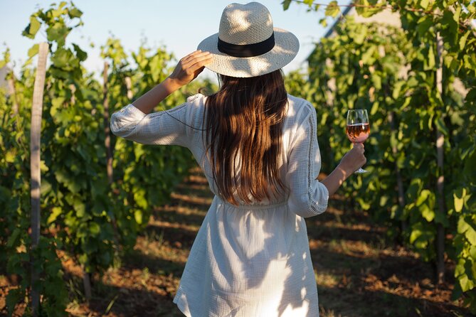 Tour Etna & Wine Tasting - Mt. Etna Meets Sicilian Wine: Why This Combo Works