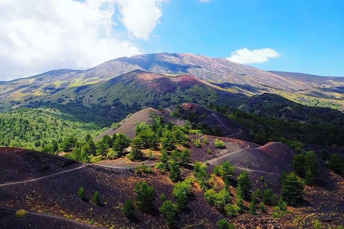 Tour Etna & Wine Tasting Private - The guided volcano walk: lava, craters, and the provided safety gear