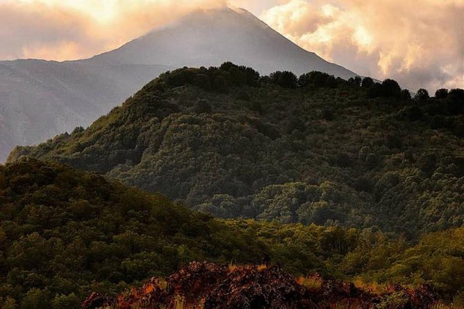 Tour Etna & Wine Tasting Private - What you should expect from the full schedule