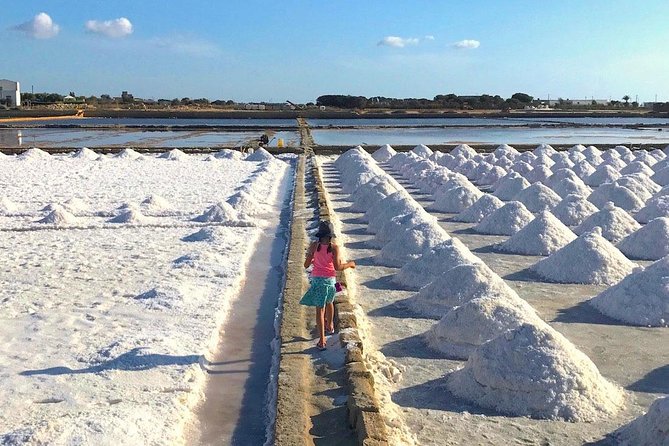 Tour from Palermo to Segesta, Erice, Trapani salt pans - Price Breakdown: Where The Money Goes (And What To Budget For)