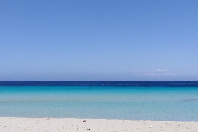 Tour Monreale and Mondello half day (4 hour) - Private Pace, Group Discounts, and Real Value