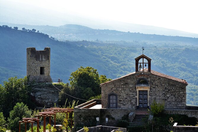 Tour of the Etna cellars, typical lunch and wine tasting - Gambino Winery on Etna: five wines and a guided lunch