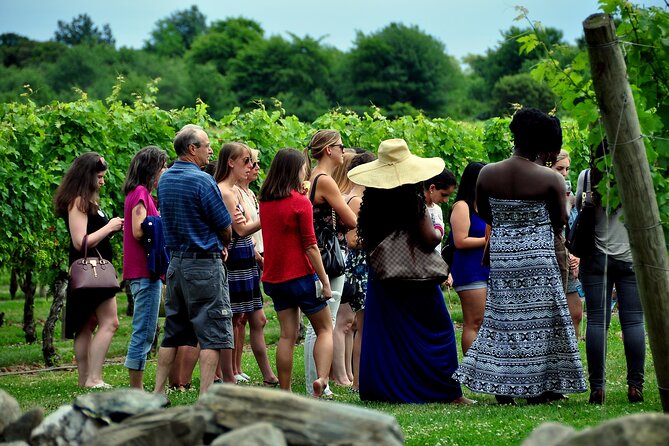 Tour of the Etna cellars, typical lunch and wine tasting - Should you book the Etna cellars lunch and wine tasting tour?