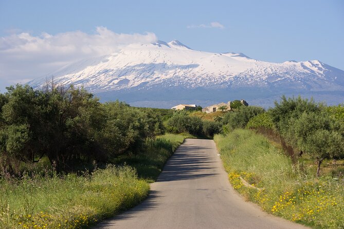 Tour of the Etna cellars, typical lunch and wine tasting - Gurne dell’Alcantara natural pools and waterfall erosion