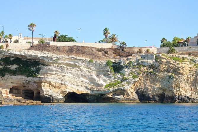 Tour of the island of Ortigia and exploration of sea caves with baths. - Price and value: why $24-ish can make sense here