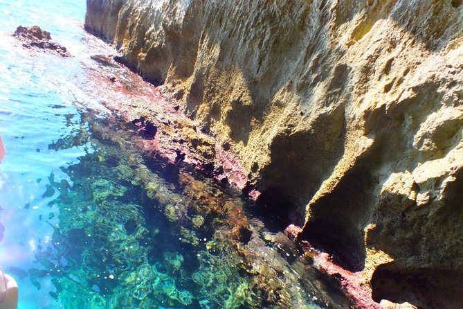 Tour of the island of Ortigia and exploration of sea caves with baths. - Timing and weather: why seas affect the caves